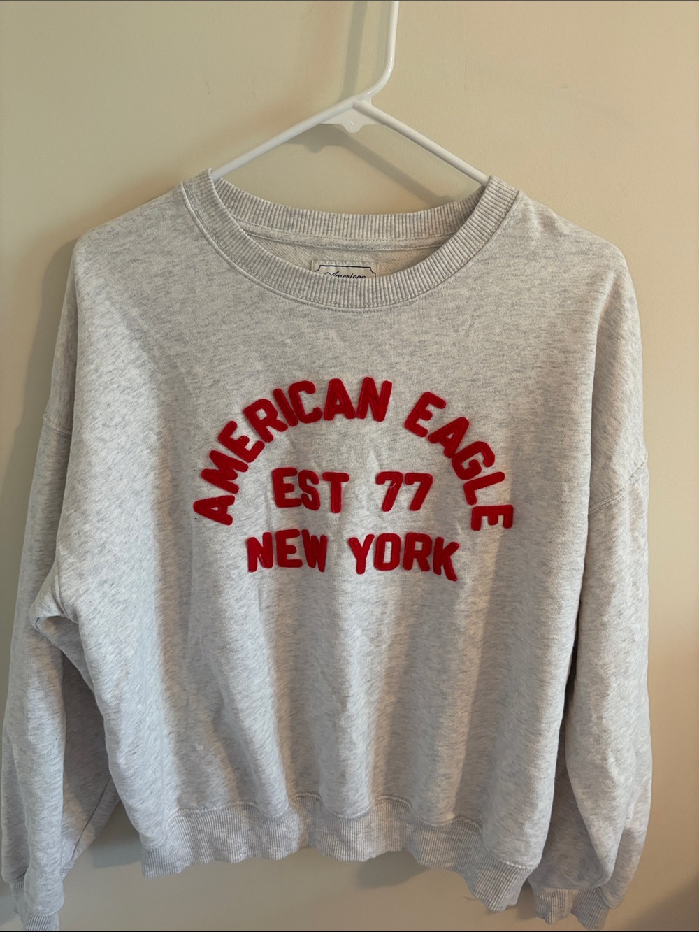 American Eagle Outfitters Gray Crewneck Sweatshirt with Red Appliqué Text